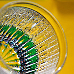 ClayWhispers Handcrafted Stellar Nexus Whisky Glass With Wooden Box